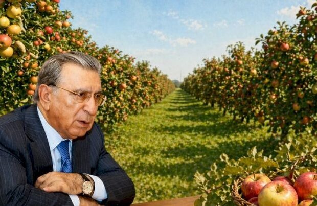 image-177694253532371787869e9fdc7592cf