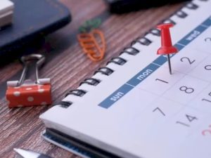 image-1776959056_17769582421529541545_1200x630-7