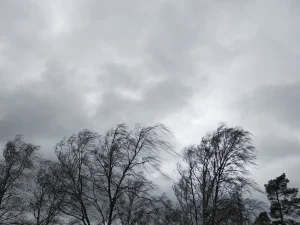 image-1776959056_17769582421529541545_1200x630-9