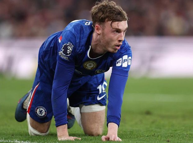 image-1777113588_img_9961