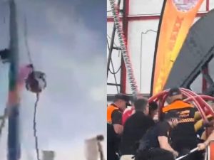 image-1777183532_inshot_20260426_100403704