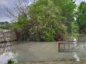 image-1777199719_img_20260426_143331_567