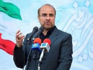 image-2026-03-07-20-47-18q9c7sg1ynhmvt1y5iijp_file