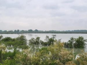 image-43a6f7a3e178670ccae60dadb6136670