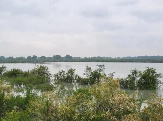 image-43a6f7a3e178670ccae60dadb6136670