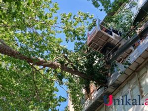 image-69cbe489d9ca469cbe489d9ca5177496999269cbe489d9ca269cbe489d9ca3-4