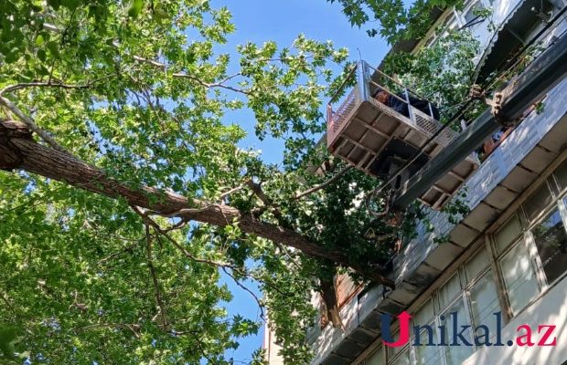 image-69cbe489d9ca469cbe489d9ca5177496999269cbe489d9ca269cbe489d9ca3-4