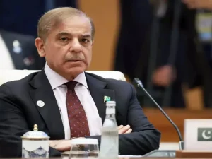 image-69e51e89c18cc69e51e89c18cd177662324169e51e89c18ca69e51e89c18cb