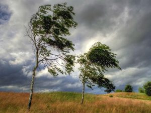 image-6a9c4aedd8bd1b2fec58aff1685f1e8e-2