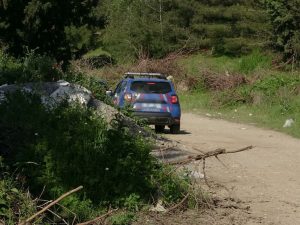 image-adana-da-ormanda-erkek-cesedi-bulundu-19788966_8665_amp