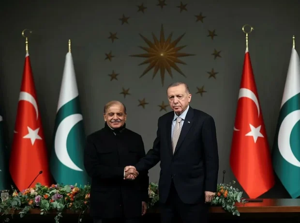 image-anvwqfuyv8ithdfmoy4cqf2lwgzodzooefen8wrt_1200-9