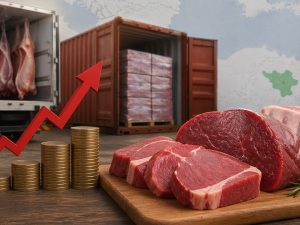 image-df645e00694dc4af33cc7bfca748a742_untitled-1