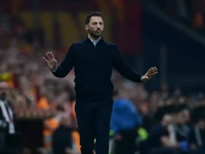 image-domenico-tedesco-2