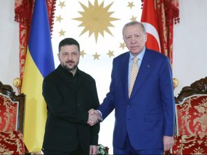 image-erdogan-zelen