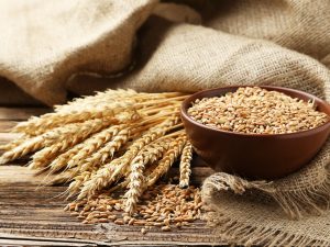 image-h6djvjih8mpko4ekaslypy4rgitvg4nbau4s5phv_1200-2