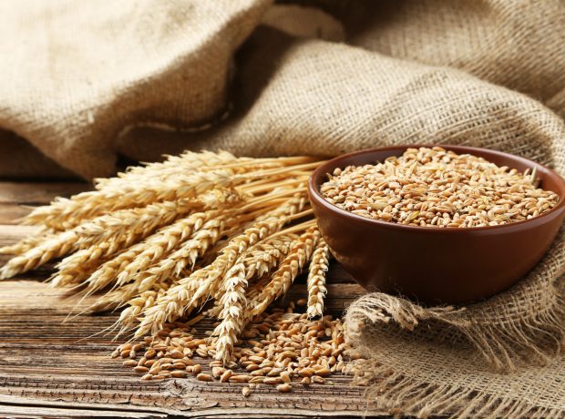 image-h6djvjih8mpko4ekaslypy4rgitvg4nbau4s5phv_1200-2