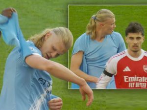 image-haalandin-canina-tak-etti-karim-bile-bunu-sevmiyor_e84c349eef_amp