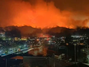 image-japonya-nin-iwate-eyaletinde-orman-yangini-1000-kisi-tahliye-edilmek-zorunda-kaldi-19774732_8806_amp