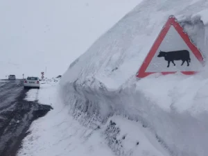 image-kar-kalinligi-tabela-boyunu-gecti-19786369_2030_amp