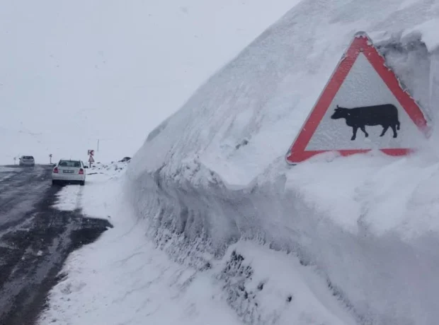 image-kar-kalinligi-tabela-boyunu-gecti-19786369_2030_amp