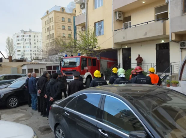 image-lcwdyvdiobtewjwawi596gk6m4uyvdgdrrihqrsq_1200