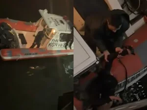 image-maqvzameltubivrcrtw3x7v3aw2f4rij2aphkij0_1200