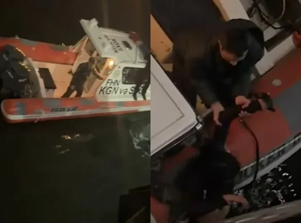 image-maqvzameltubivrcrtw3x7v3aw2f4rij2aphkij0_1200