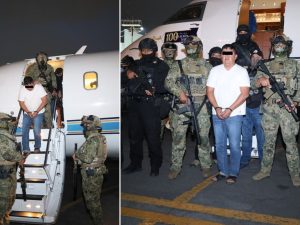 image-meksika-da-el-jardinero-lakapli-uyusturucu-19789083_5786_amp