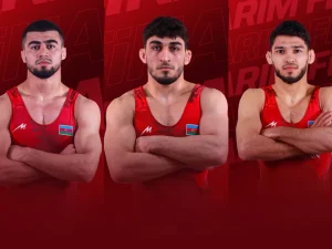 image-mkgr7apctdxr7few9ryitrfvclbsmfta01fudvxm_1200-4