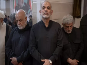 image-nterpol-axtarir