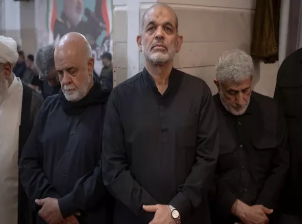 image-nterpol-axtarir