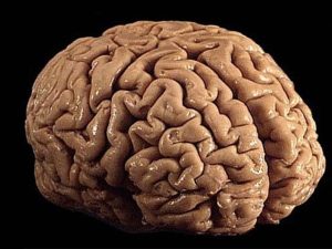 image-s-03771d66c2ca1414824c75ebd9dfb2e12118a8d7