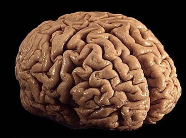 image-s-03771d66c2ca1414824c75ebd9dfb2e12118a8d7