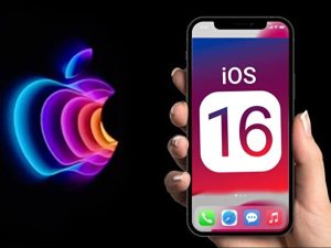 image-s-8a8fb15a8a81ecc9de800819df426fda272f3dd0