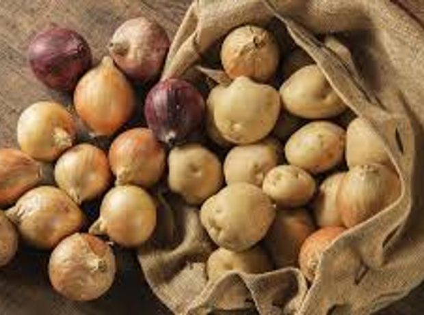 image-s-bb8f411453a9e2b92278322937507f184f63efe0