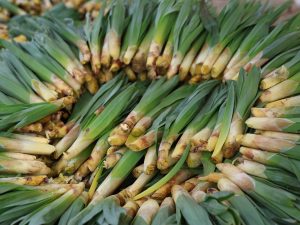 image-s-d6836ce8f2136a78d3345e6e4b705690eecfa332