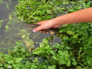 image-s-dd4cfb8a46f07656aa4a55602152af53ddec9aec