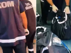 image-sirnak-ta-590-milyon-lira-degerinde-kacak-altin-ve-19777653_3345_amp