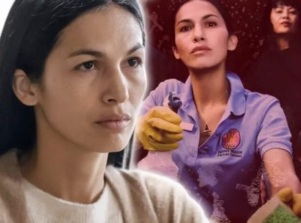 image-the-cleaning-lady