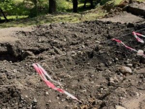 image-torpaq-surusme1