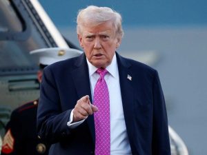 image-tramp-0112-900x600-1