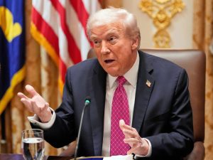 image-tramp-4-900x565-1