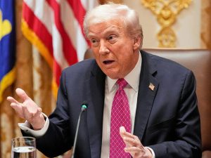 image-tramp-4-900x565