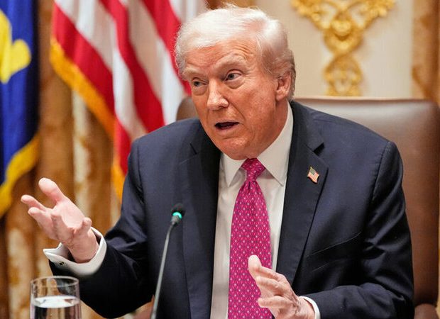 image-tramp-4-900x565