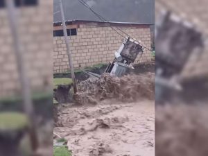 image-trasmovator-suda