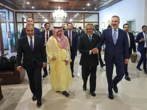 image-turkiye-suudi-arabistan-misir-paki-4p9c-900x627