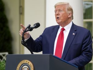 image-whatsapp-image-2026-03-10-at-01-49-11