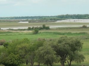 image-whatsapp-image-2026-04-22-at-14-38-21-900x538