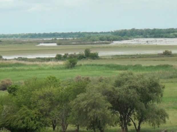 image-whatsapp-image-2026-04-22-at-14-38-21-900x538