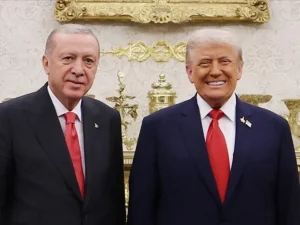 image-yxicy0w3dyyq71v30qmzihroorgih4jrybksuwna_1200